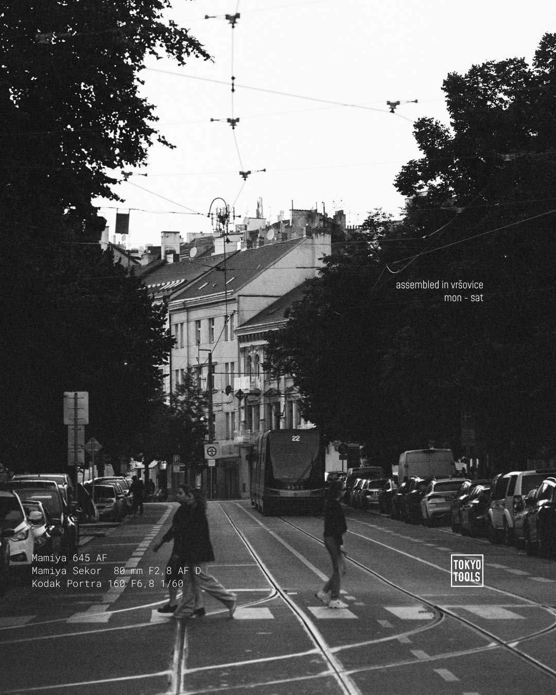 VRSOVICE-ANALOG_OCTOBER_4x5-7